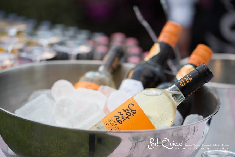 Bebida para los aperitivos. | Goyo Catering